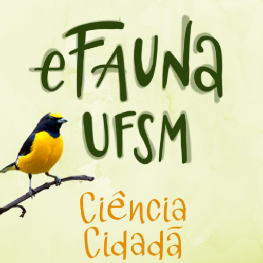 Anilhamento em ação